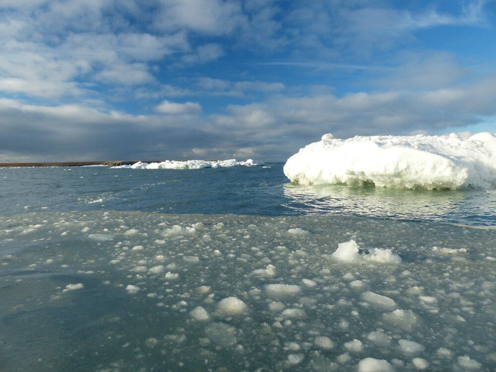 Russland Wrangel Island • Sibirische Inseln • FranzJosefLand
